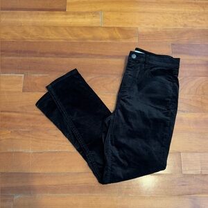 Loft velvet straight leg pants